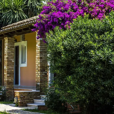 アパートホテル Folies Corfu Town Alepou